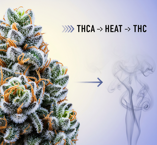 The Ultimate Guide to THCA: Benefits and How It Differs from THC