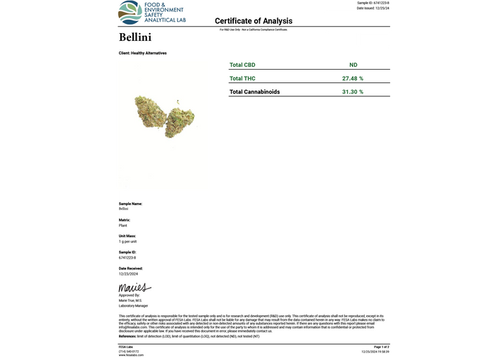 BELLINI THCA FLOWER