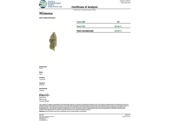 MIMOSA THCA FLOWER