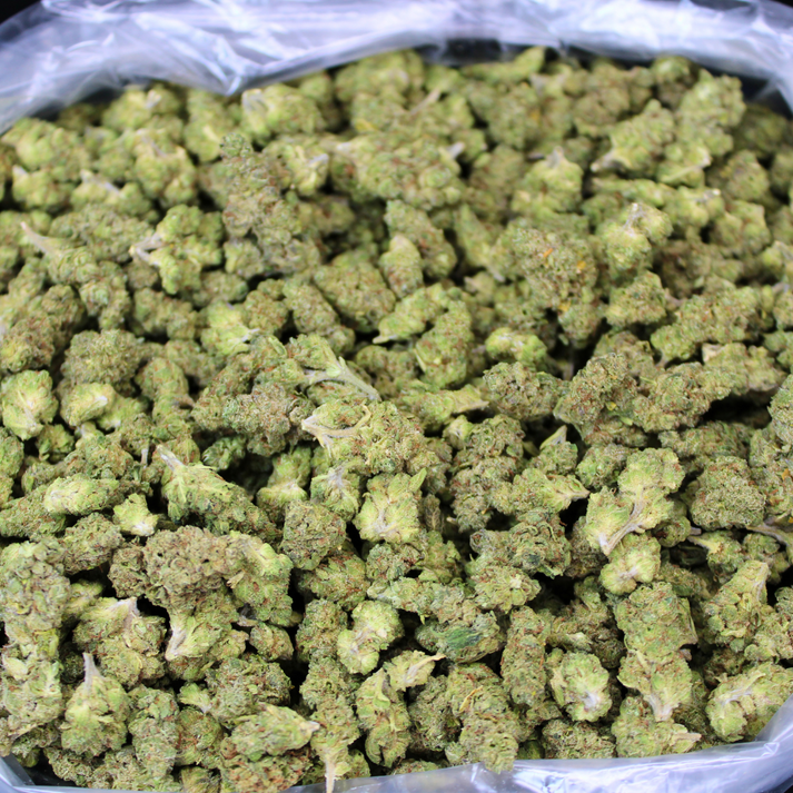 KING LOUIS XIII THCA FLOWER