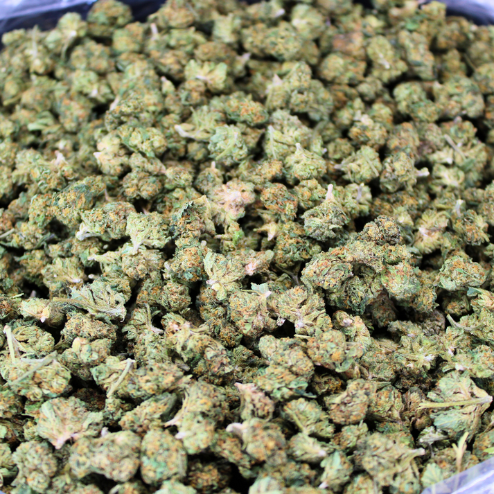 JET FUEL OG