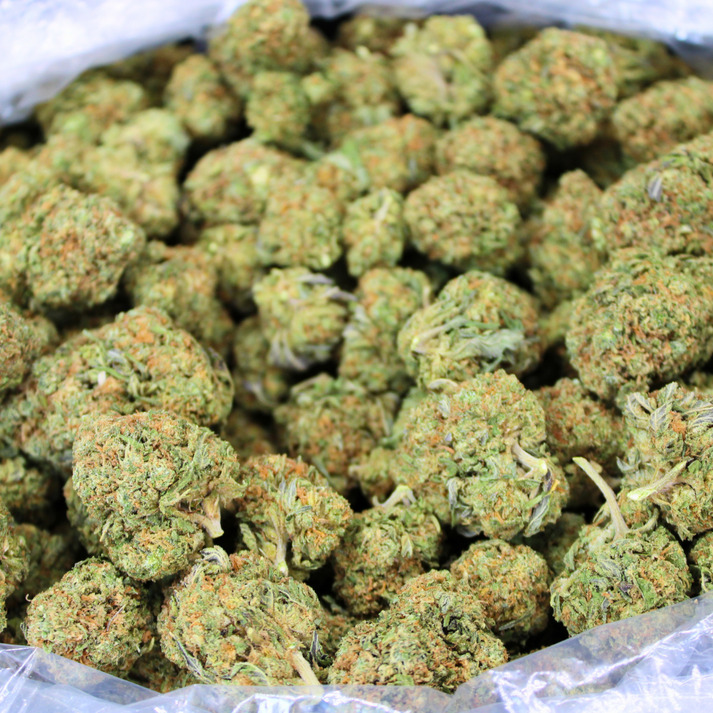 LONDON POUND CAKE THCA FLOWER