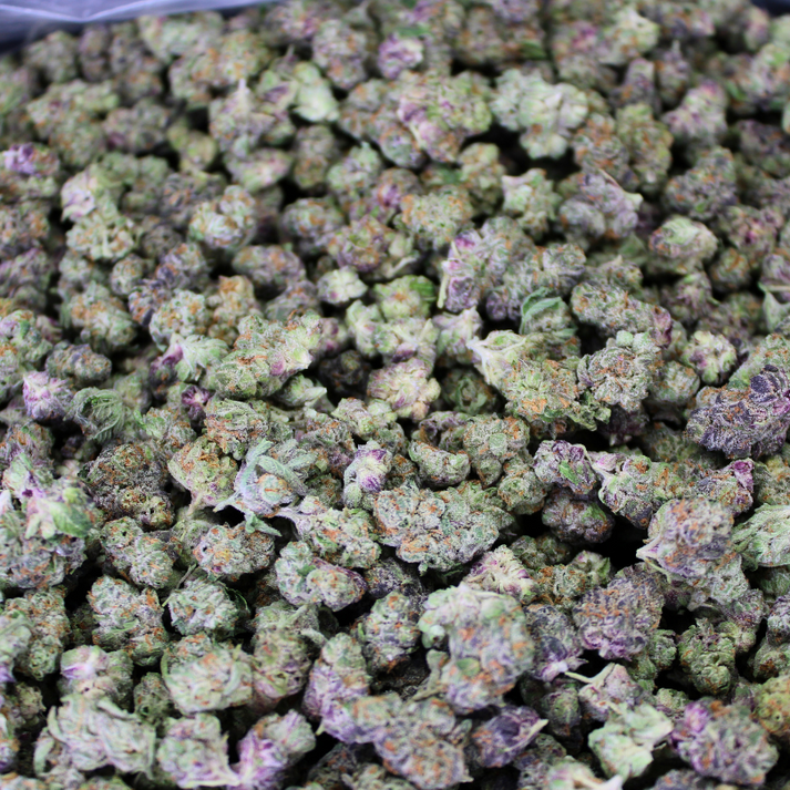 ITALIAN ICE THCA FLOWER