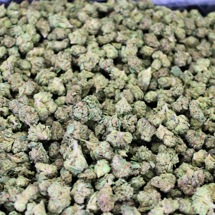 GELATO#33 THCA FLOWER