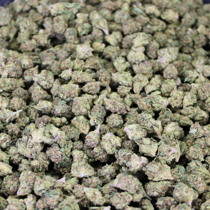 CAKE BATTER THCA FLOWER