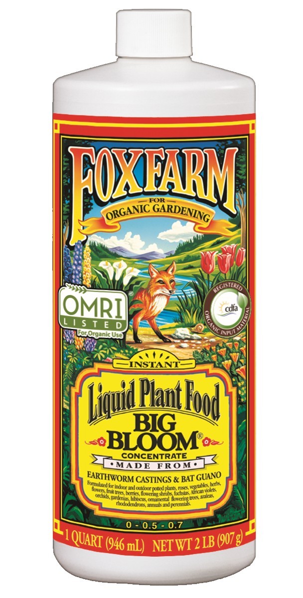 BIG BLOOM LIQUID CONCENTRATE
