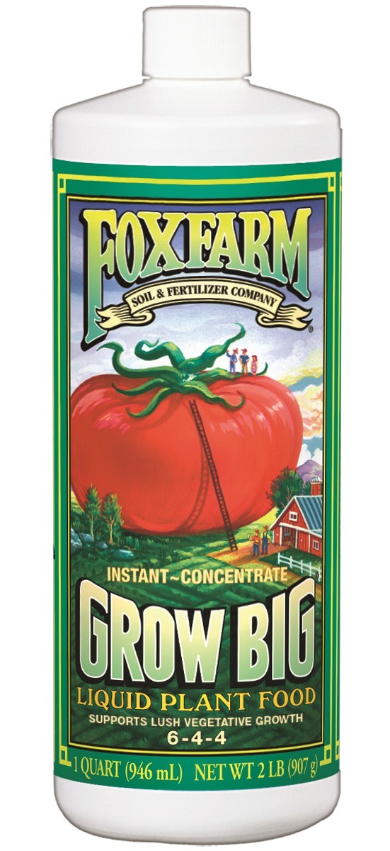 GROW BIG LIQUID CONCENTRATE