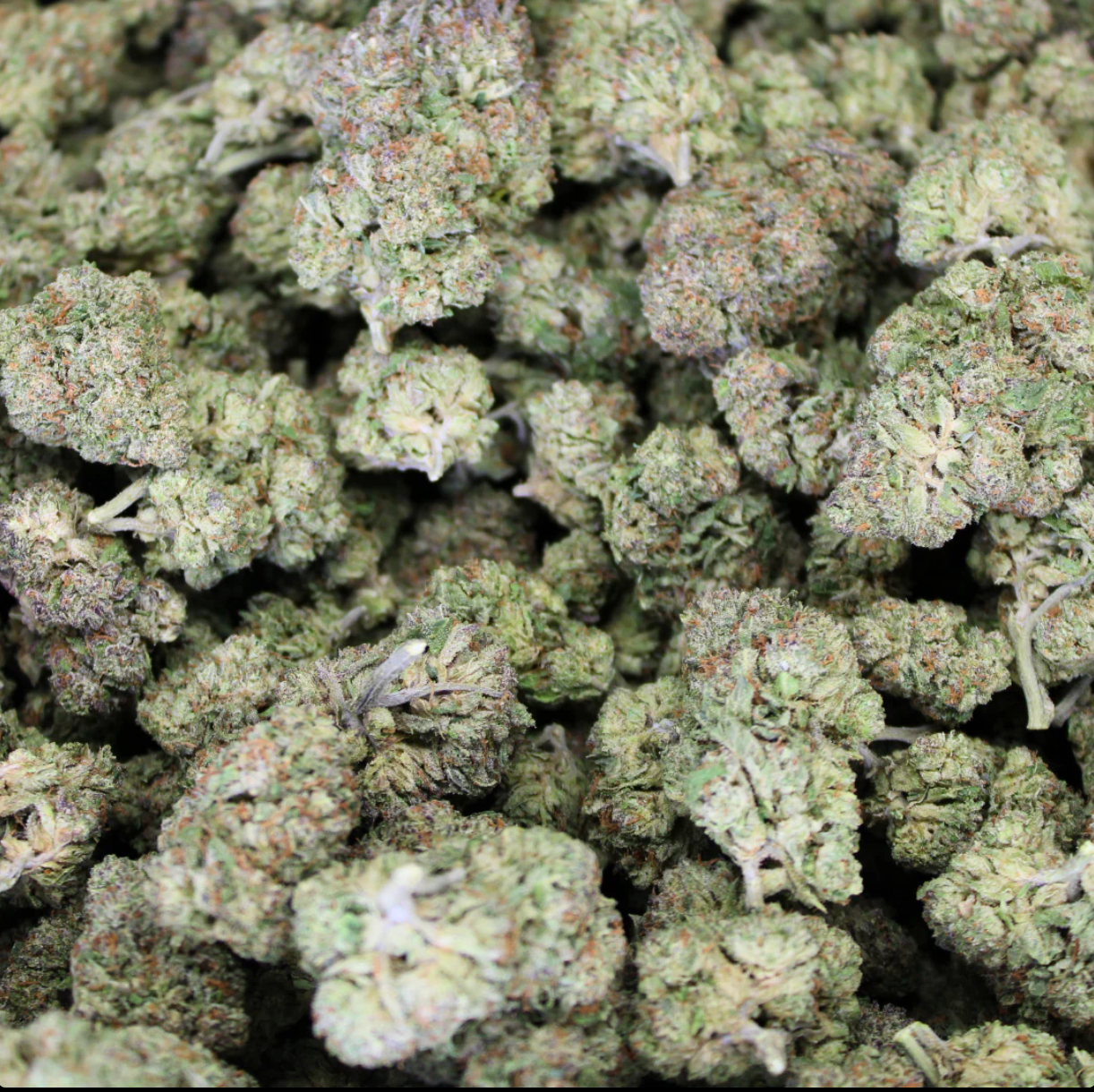KUSH KING THCA FLOWER