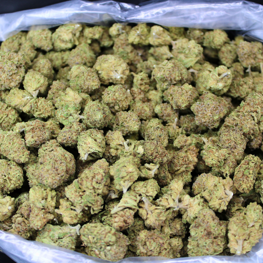 JEALOUSY THCA FLOWER