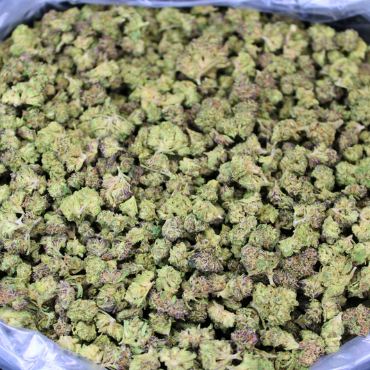 POPPERS THCA FLOWER
