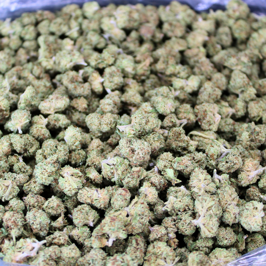 OREOZ THCA FLOWER