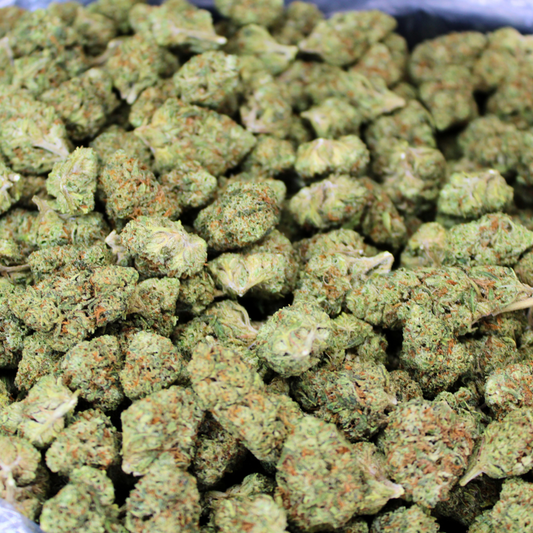 STRAWBERRY COUGH THCA FLOWER
