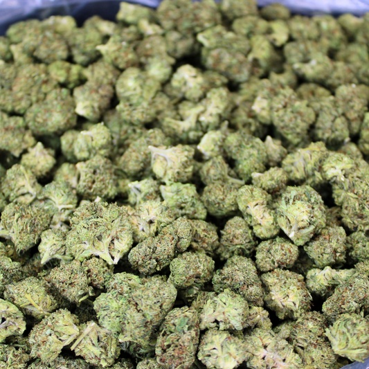 WHITE RUNTZ THCA FLOWER