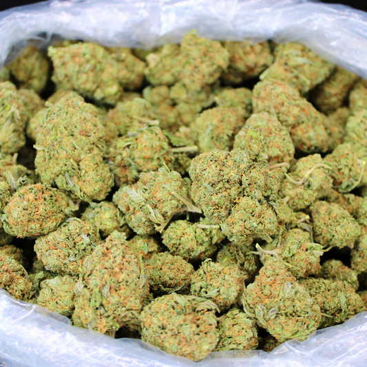 RUNTZ OG THCA FLOWER
