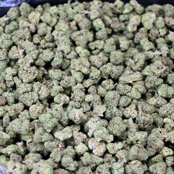 PURPLE PUNCH THCA FLOWER