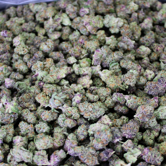 ITALIAN ICE THCA FLOWER