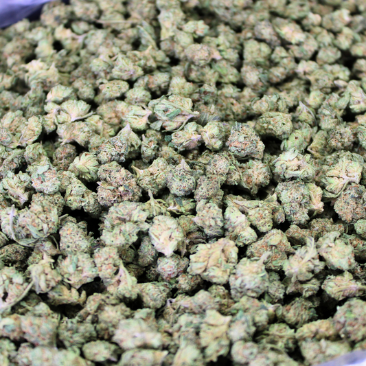 VENOM OG THCA FLOWER