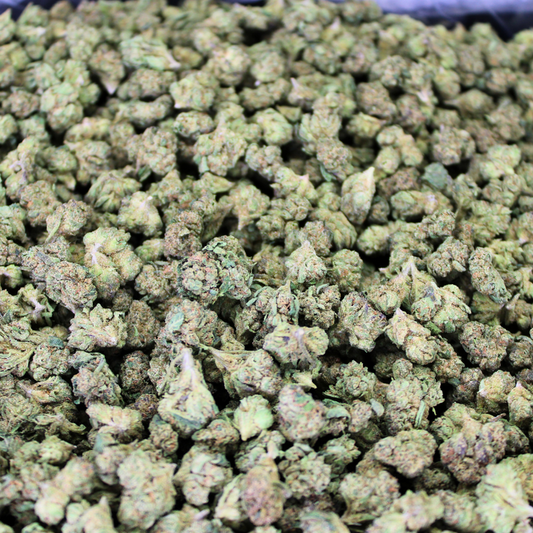 GELATO#33 THCA FLOWER