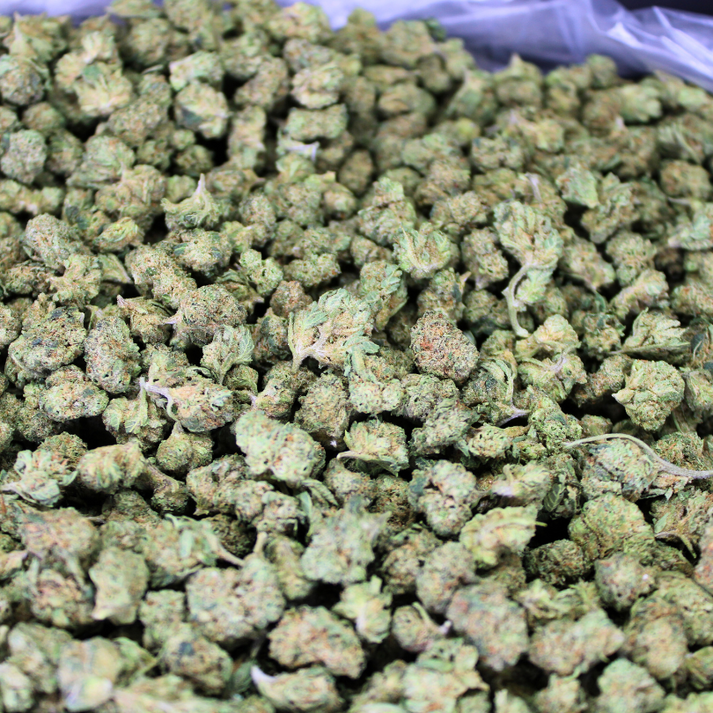 CEREAL MILK THCA FLOWER