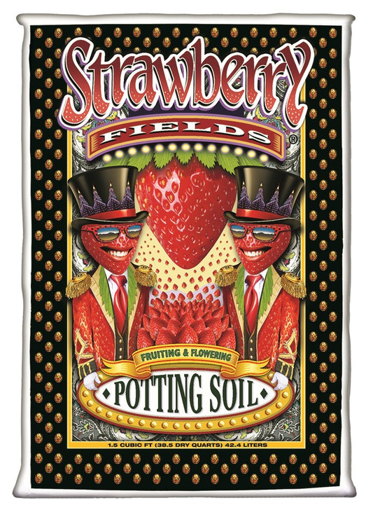 STRAWBERRY FIELDS FRUITING & FLOWERING