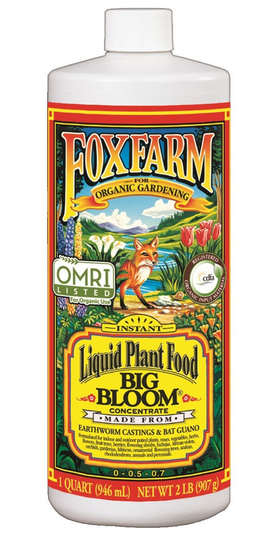 BIG BLOOM LIQUID CONCENTRATE